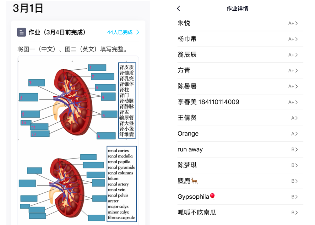 图5.png